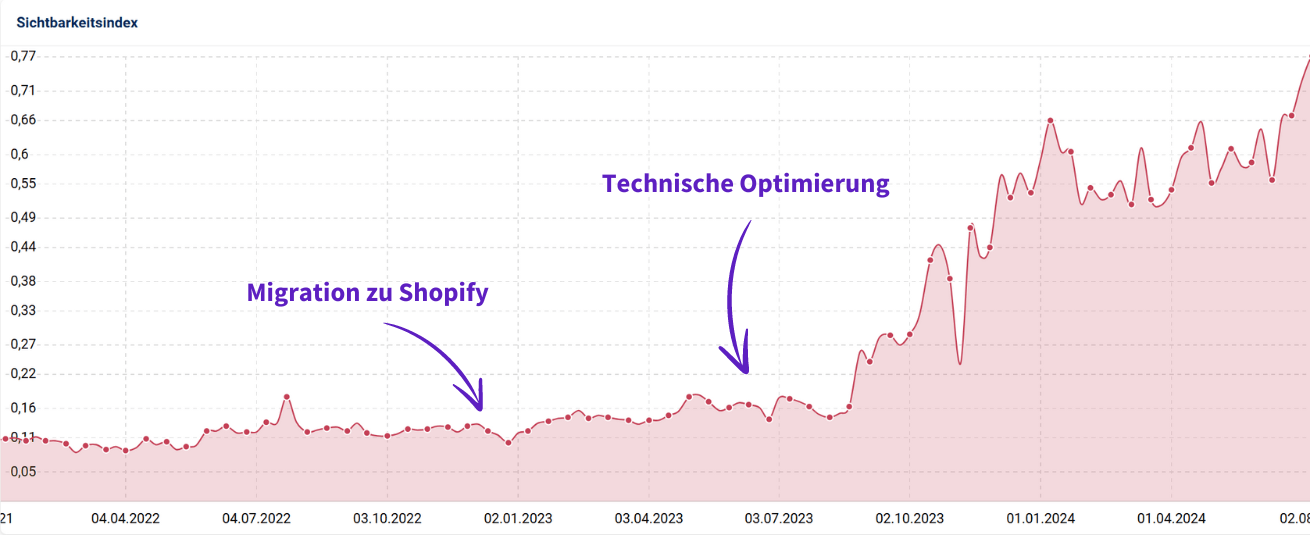 Shopify SEO Case